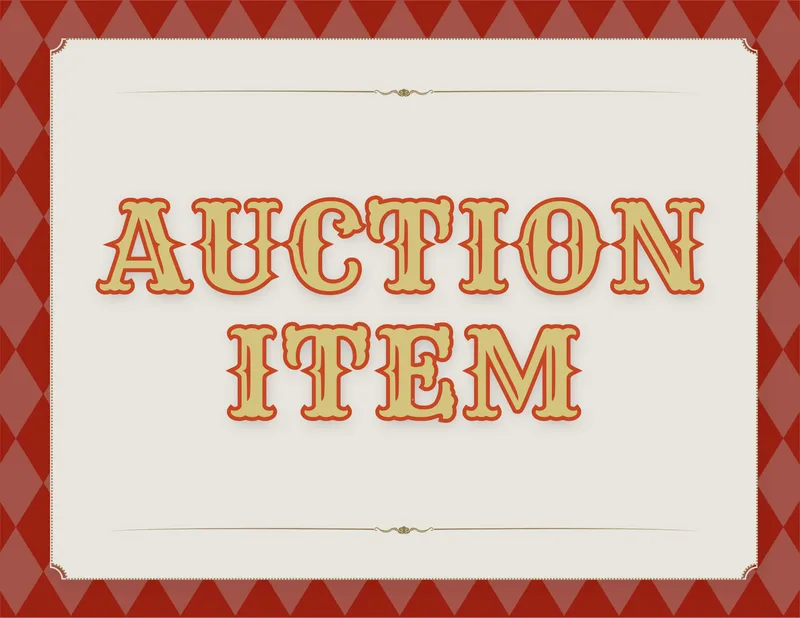 Auction Item